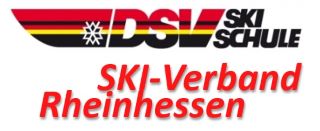 DSV Logo